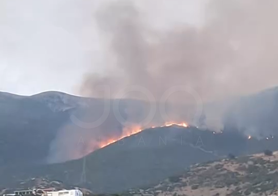 Pamje alarmante nga Borshi! Zjarri jashtë kontrollit, i afrohet rrugës nacionale dhe banesave: Asnjë ndërhyrje nga shteti!