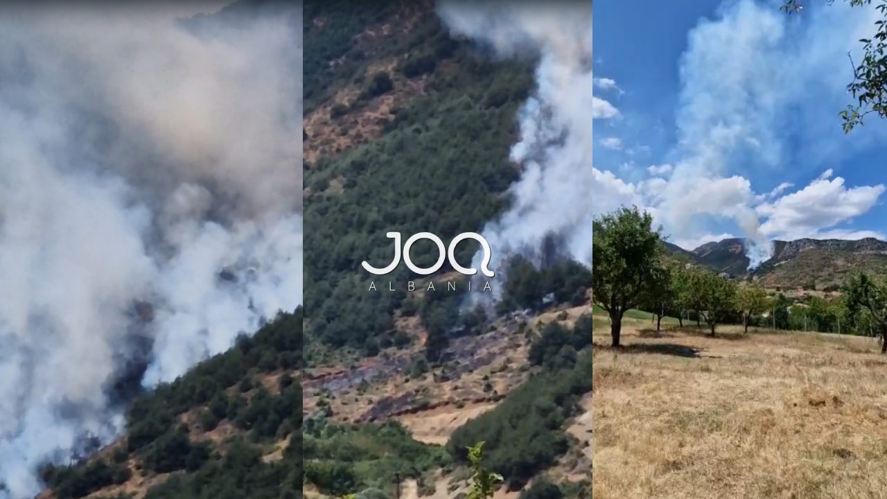 Zjarri i madh përfshin malin pranë fshatit Udënisht
