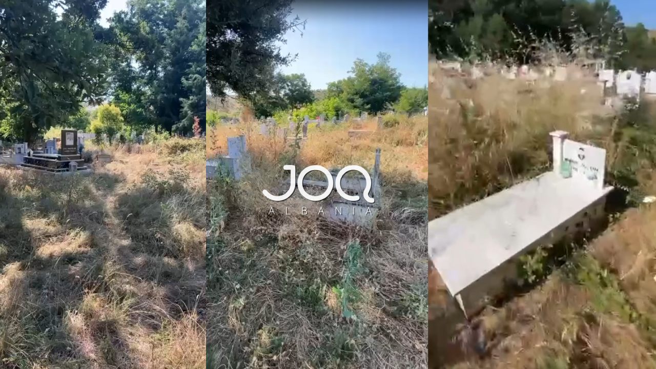 Gjendje e mjerueshme në varrezat e Çerravës në Pogradec, vizitorët kanë frikë nga gjarpërinjtë