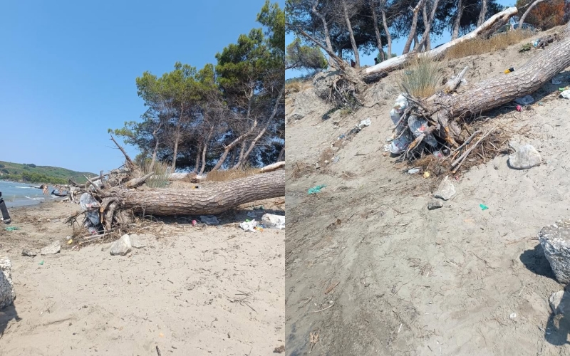Plazhi i Zvërnecit plot mbeturina! Shkak, papërgjegjshmëria e vizitorëve dhe bashkisë