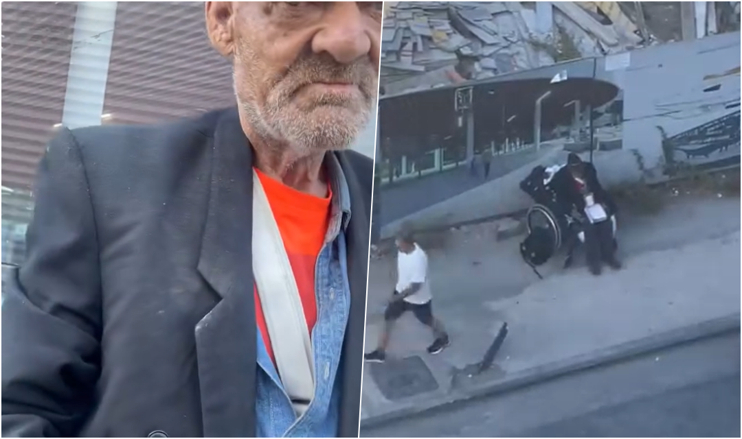 I moshuari i braktisur endet rrugëve, ka nevojë urgjente për ndihmë