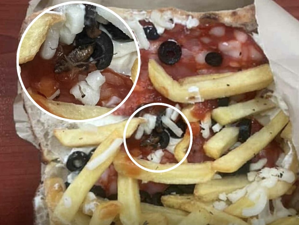 E hapi për t’i hedhur ketchup, qytetari gjen mizën brenda sanduiçit të “Nonës”