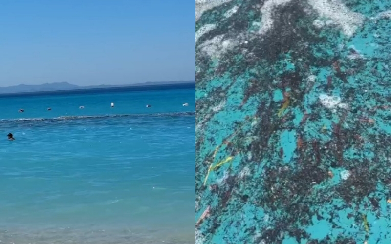 Bregu i Borshit i mbuluar nga ndotja: Anijet derdhin ujëra të zeza