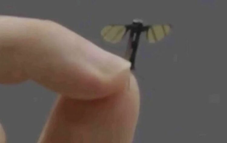 Droni më i vogël në botë: Kina prezanton një robot fluturues që imiton mushkonjat