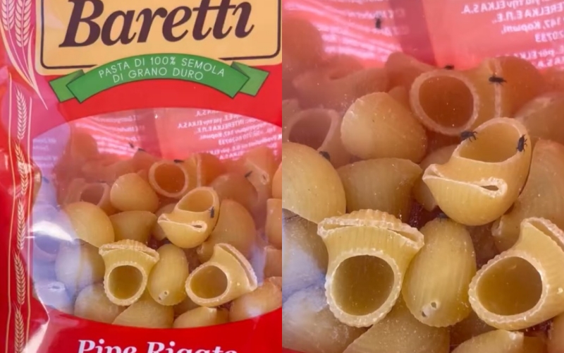 Skandalizohet qytetari, makaronat Baretti plot me insekte!