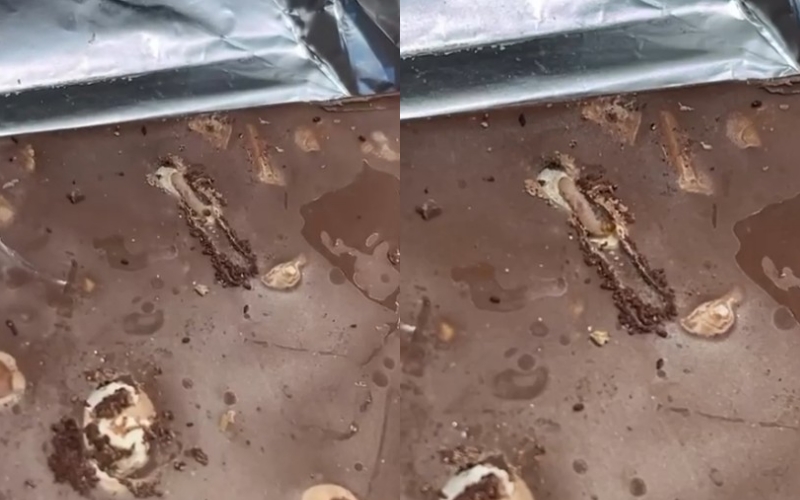 Qytetarja blen çokollatë në supermarketin Xhangolli,  i del e prishur dhe me krimba