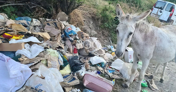 Gomari i gjorë korçar  duke pritur që shteti t i pastrojë plehrat 