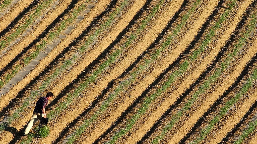 Hetimi për abuzimet me fondet bujqësore në Greqi, rrezik për dy ish-ministra