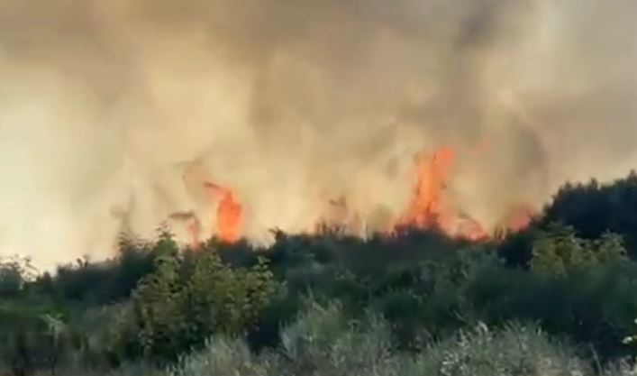 Zjarr i përhapur në Malas Breg, kërcënohen banesat dhe pemishtet me ullinj