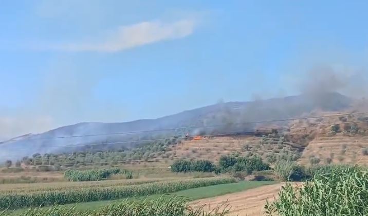 Zjarret masive përfshijnë zonat kodrinore në Karinë, Peqin e Sinaballaj