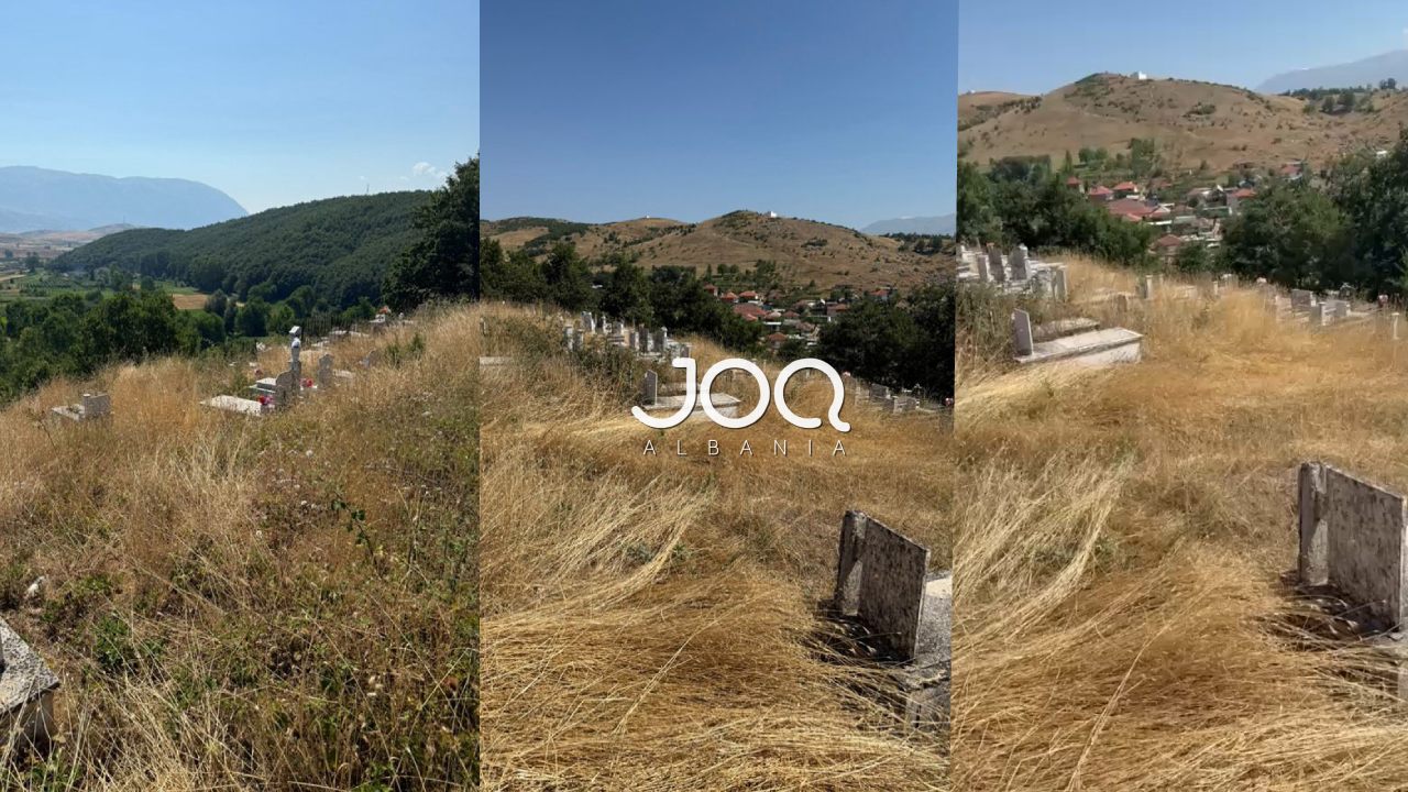 Varrezat e Petrushës në harresë të plotë nga shteti