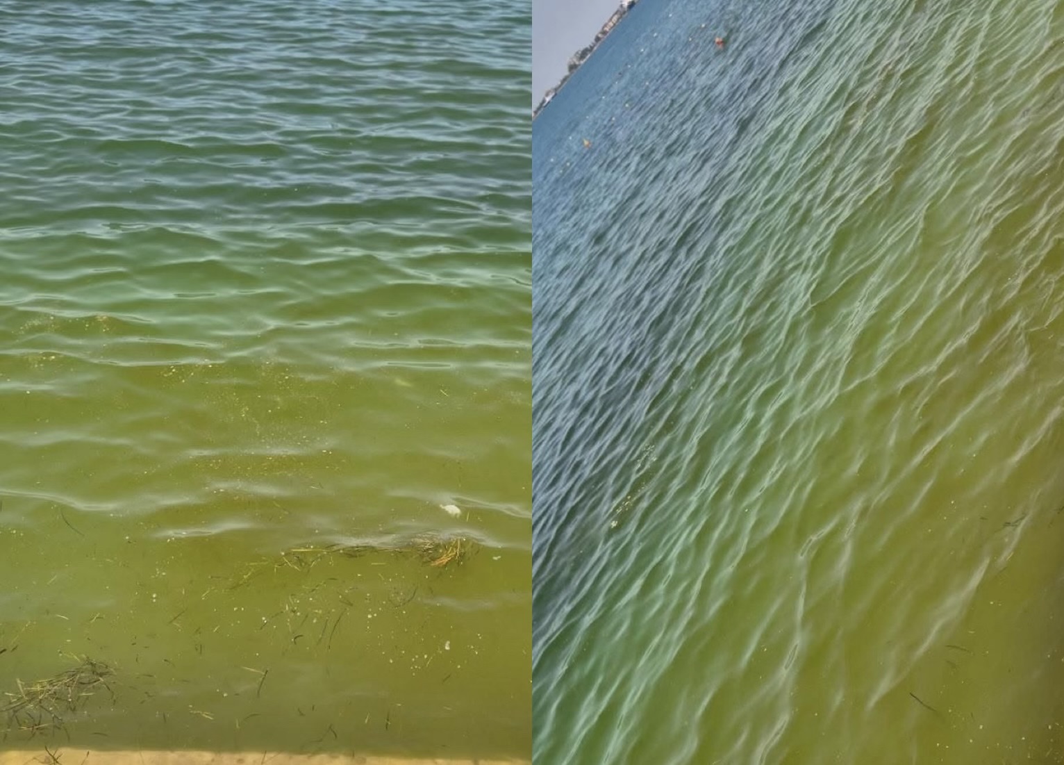 “E mjera Vlorë! Kjo është gjendja e plazhit para tunelit”