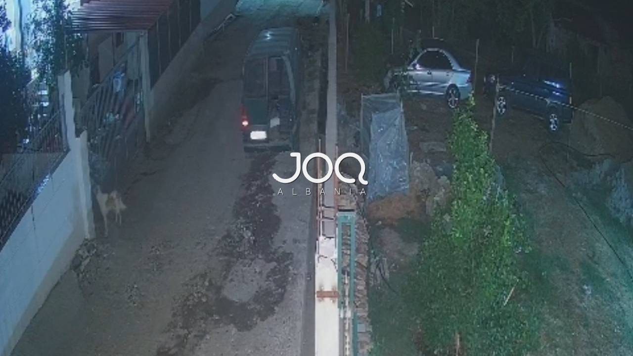 Policia Fier reagon pas postimit në JOQ të 67 vjeçarit që vrau qenin e komshiut, arrestohet autori