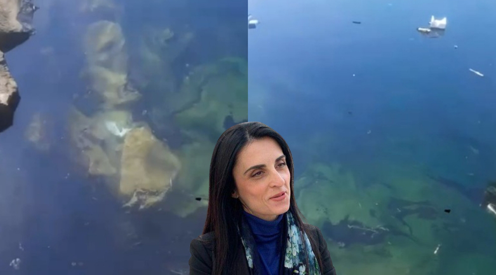 Alarm në portin e peshkimit në Durrës, ndotja rrezikon jetën detare
