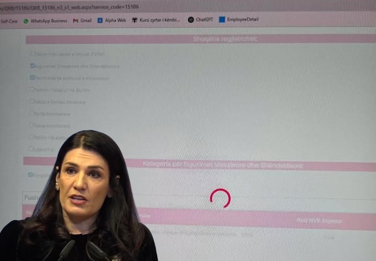 E-Albania në kolaps, ekonomistët në stres! Ku shkojnë miliardat e mirëmbajtjes?