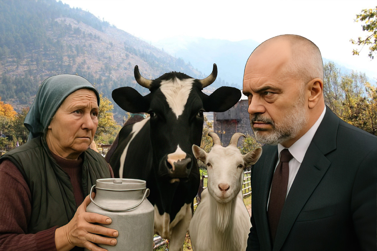 Nis lufta ndaj fshatarëve që tregtojnë bulmet pa faturë, Rama rrezikon blegtorinë