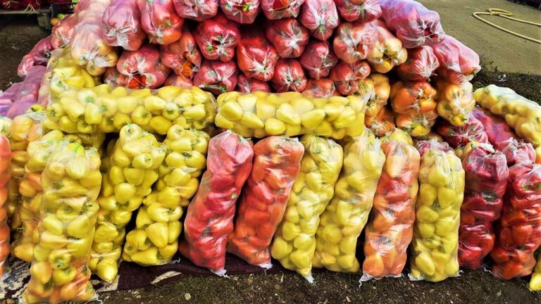 Koha e turshive – rritet çmimi i specave në Kosovë