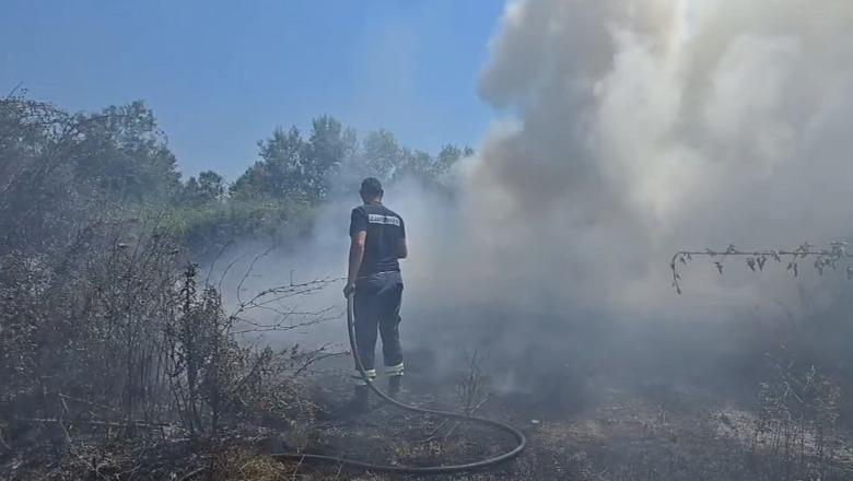 Kosova përfshihet nga zjarret – 23 vatra aktive brenda ditës për shkak të temperaturave të larta