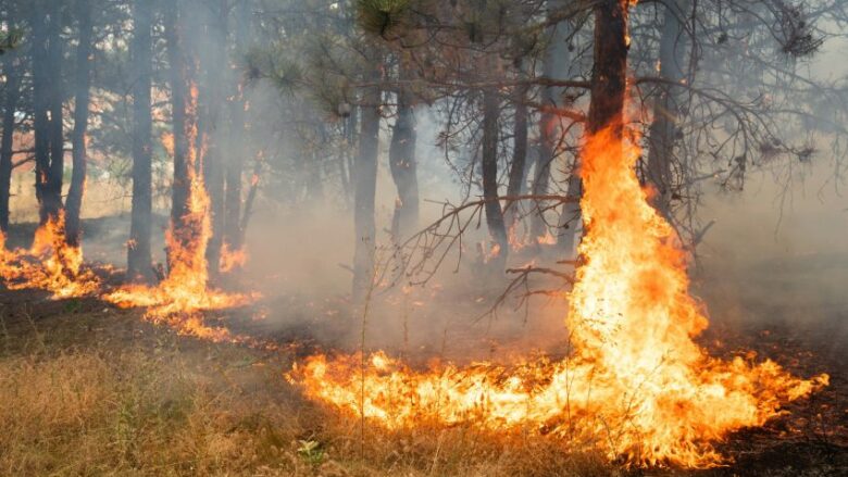 LAMM: Shkaku i zjarrit në “Jasen”, rruga rajonale Makedonski Brod-Shkup ende e mbyllur