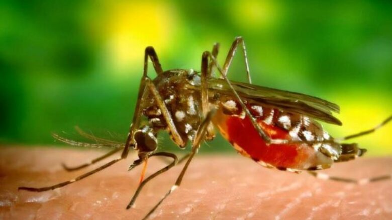 Virusi Chikungunya, IKSHPK: Kemi siguruar teste diagnostikuese, në Kosovë dhe në rajon nuk është raportuar asnjë rast