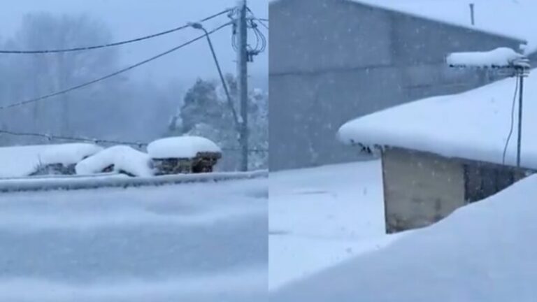 E rrallë: Bie borë e dendur në Australi