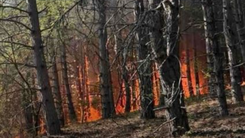 Për shkak të zjarrit në “Jasen”, vazhdon të mbetet e mbyllur rruga Makedonski Brod-Shkup