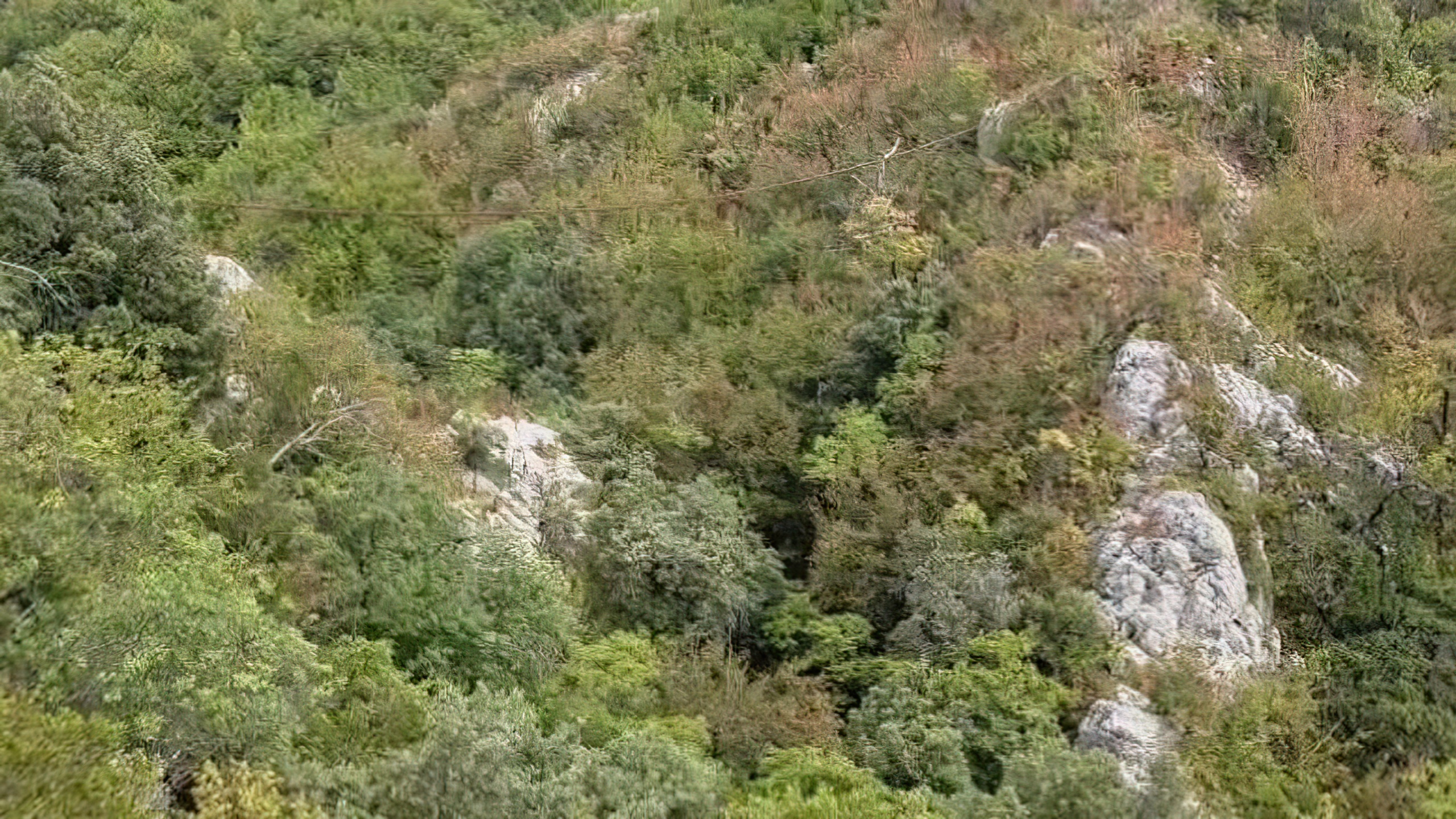 Shkoi në mal për të kërkuar qenin, gjendet trupi i pajetë i 54-vjeçarit në Elbasan