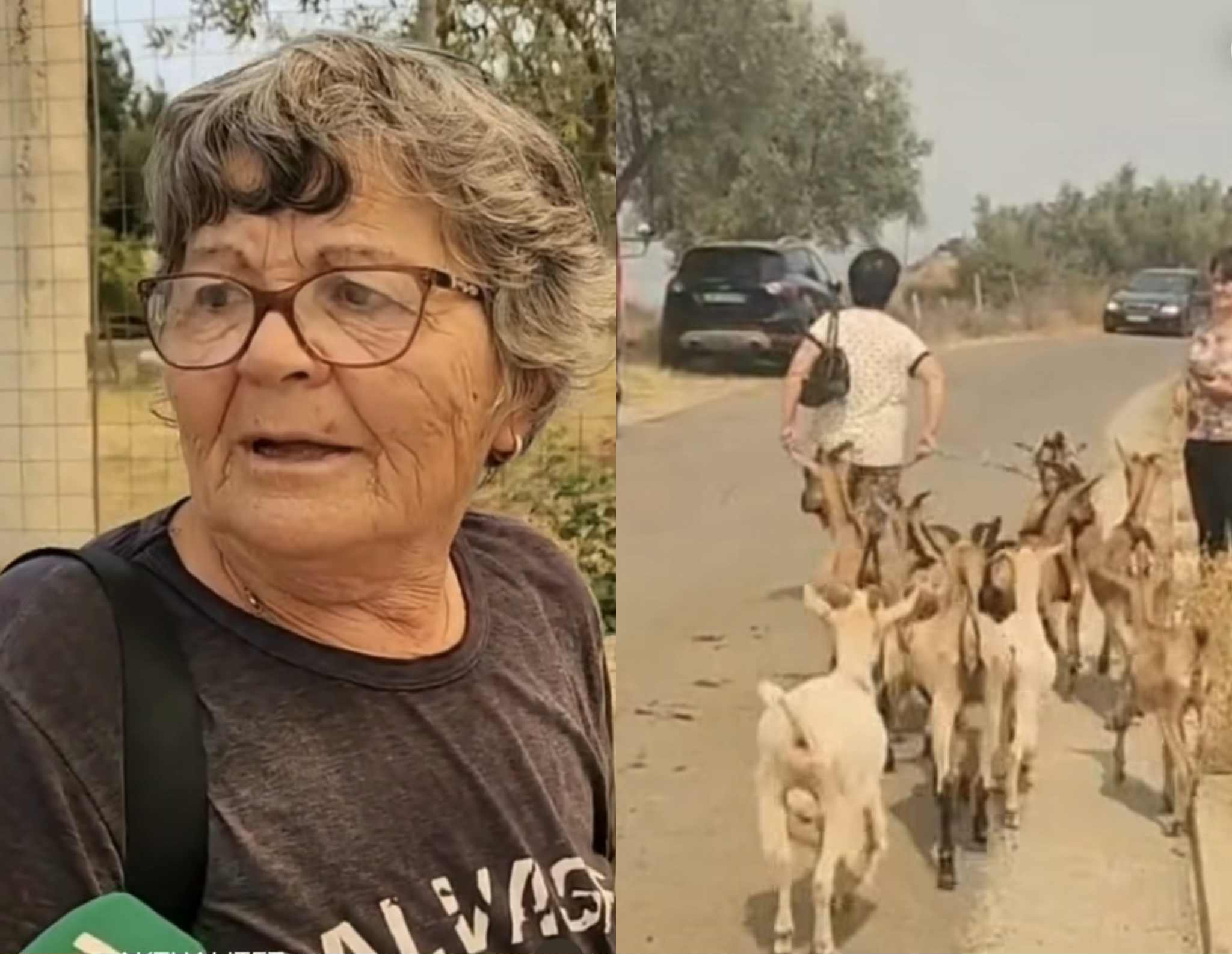 “Ç’e dua jetën time?!” Banorët e Nartës largohen mes lotësh, marrin me vete bagëtitë