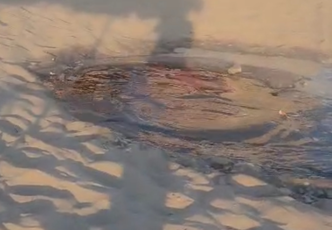 Turizëm në Shqipëri, 2025