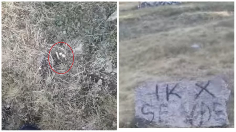 “Ik se do vdesësh”/ Fermeri në Pukë qëllohet me armë dhe kërcënohet me mesazhe