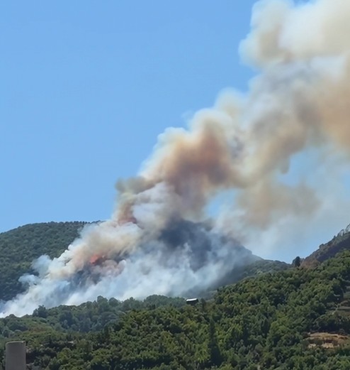 Bërzhita në flakë/ Emigranti: “Ju lutem na ndihmoni!”