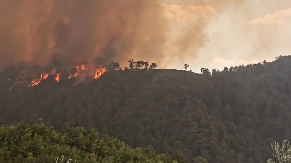 Nga inati me komshiun, i moshuari i vuri zjarrin parcelës dhe humbi jetën
