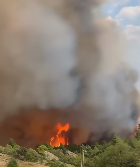 Plashniku në flakë, qytetari: “Nisni avionë se po digjemi!”