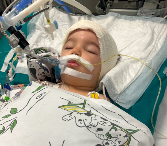 Tumori i rrallë po i rrezikon jetën, vogëlushja 2-vjeçare ka nevojë urgjente për ndihmë