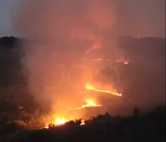 Disa vatra zjarri në Kavajë, flakët rrezikojnë të përparojnë drejt zonave të banuara