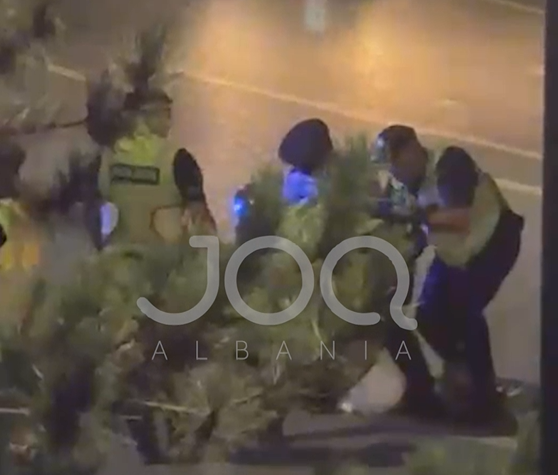 Arrestohet me dhunë drejtuesi i një mjeti në Vlorë, qytetari: U godit me grushta nga Policia!