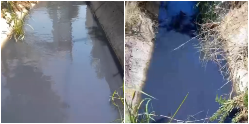 Uji për vaditje në Berat ngjan si acid, fermerët të shqetësuar