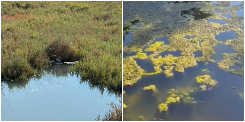 Butrinti ‘mbytet’ nga mbeturinat, vizitorët e shqetësuar për mjedisin dhe pasurinë kulturore