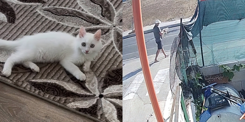 Qytetari i merr macen  i riu  Bën mirë ta kthesh se do të denoncoj