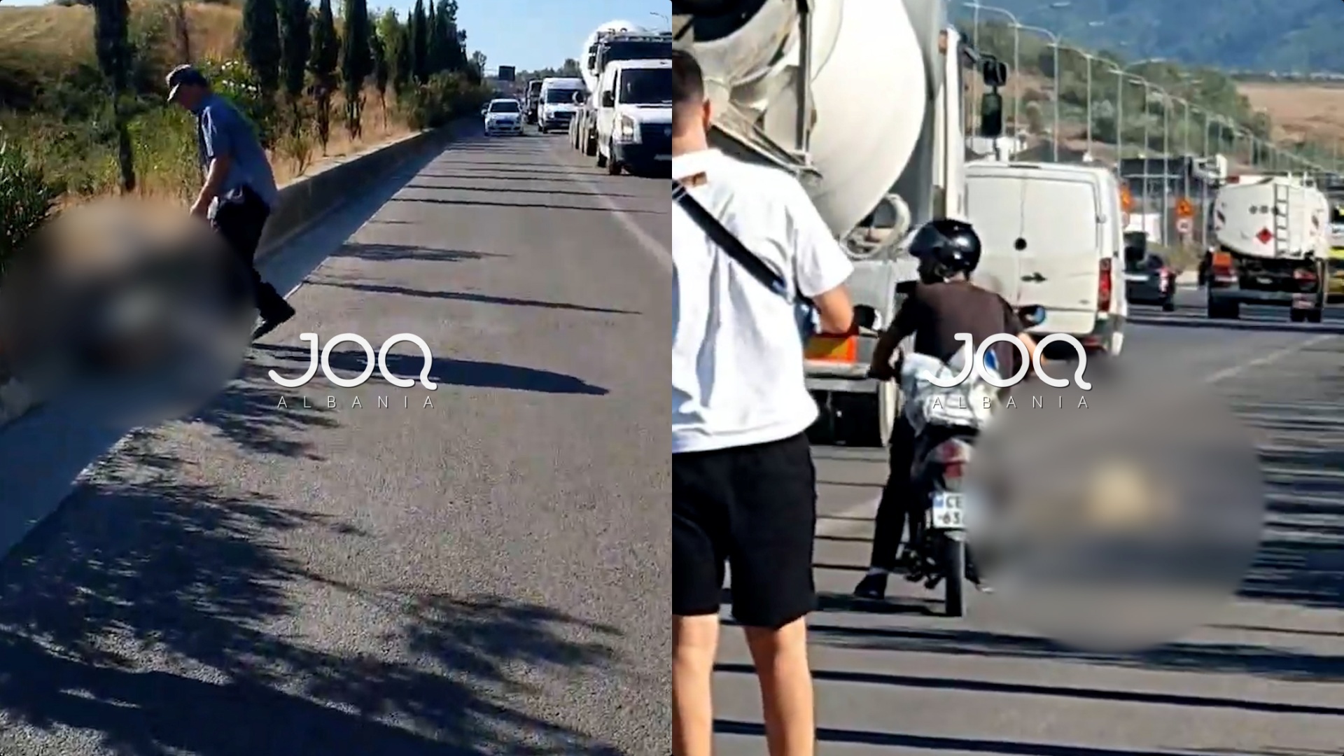 Përplaset tufa e deleve në autostradën e TEG-ut, ishin në mes të rrugës