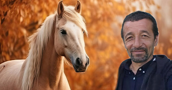 Masakra në Llogara/ Kush është fshatari nga Dukati që vrau kuajt e egër?