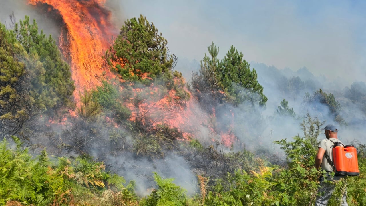 “Pa çati, pa bagëti, pa asgjë”: Banorët e Gramshit kërkojnë ndihmë nga shteti pas zjarreve masive