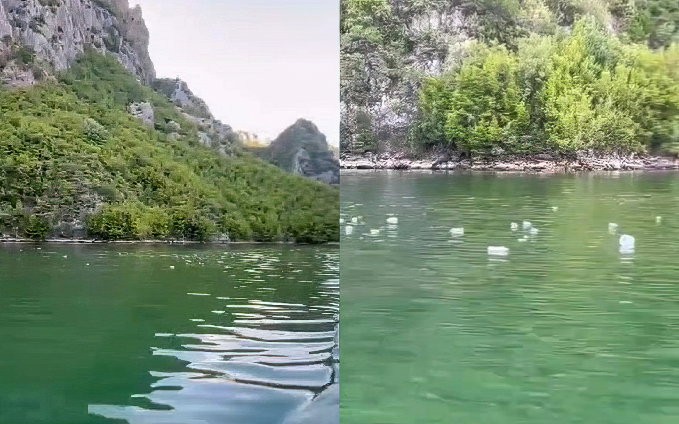Vizitori: Liqeni i Komanit nën pushtetin e ndotjes