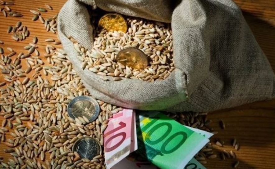 Çmimet e produkteve bujqësore në RMV u rritën për 14.2% në gusht