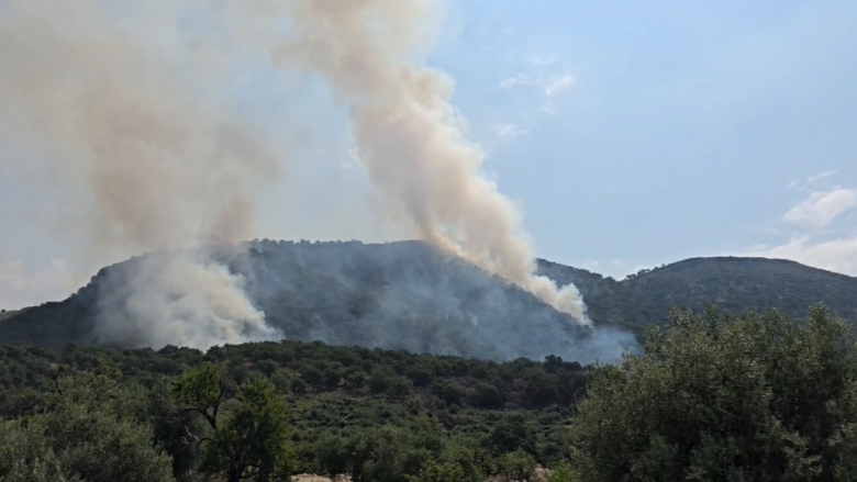 QMK: Kanë shpërthyer 18 zjarre në ambiente të hapura, nuk ka asnjë aktiv