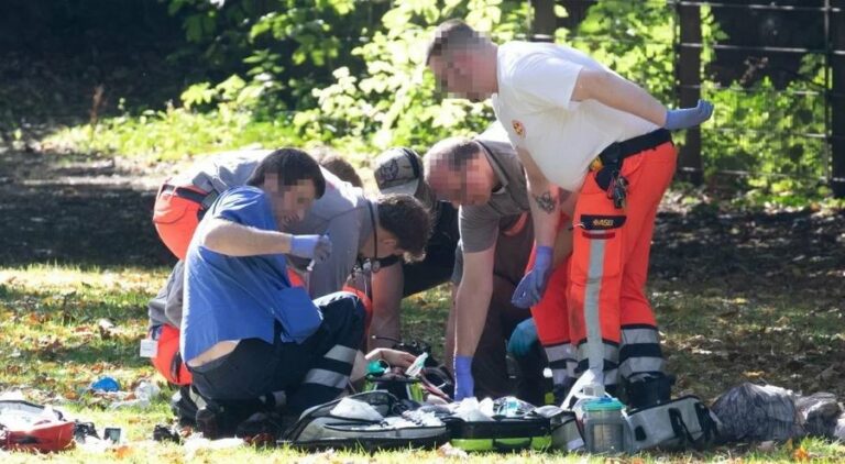 17-vjeçari nga Kosova plagos mësuesen në Gjermani, qëllohet me armë nga policia