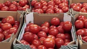 8 ton domate me pesticide nga Shqipëria të kompanisë “Era Fruit”, dy inspektore të AKU në pranga