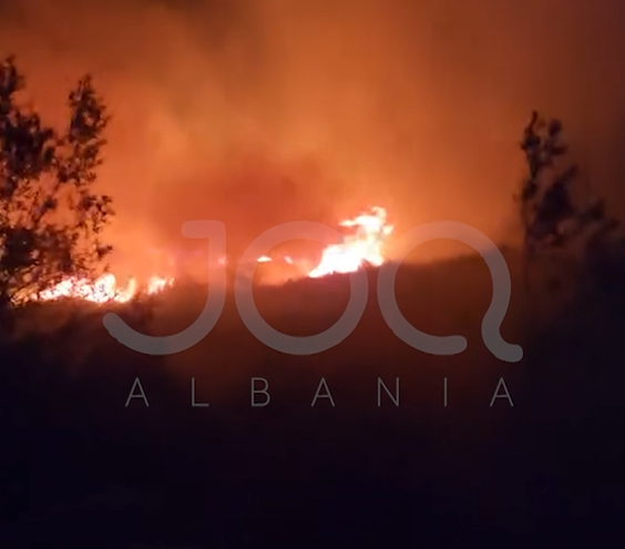 Përfshihet nga flakët pylli në Gjirin e Lalzit