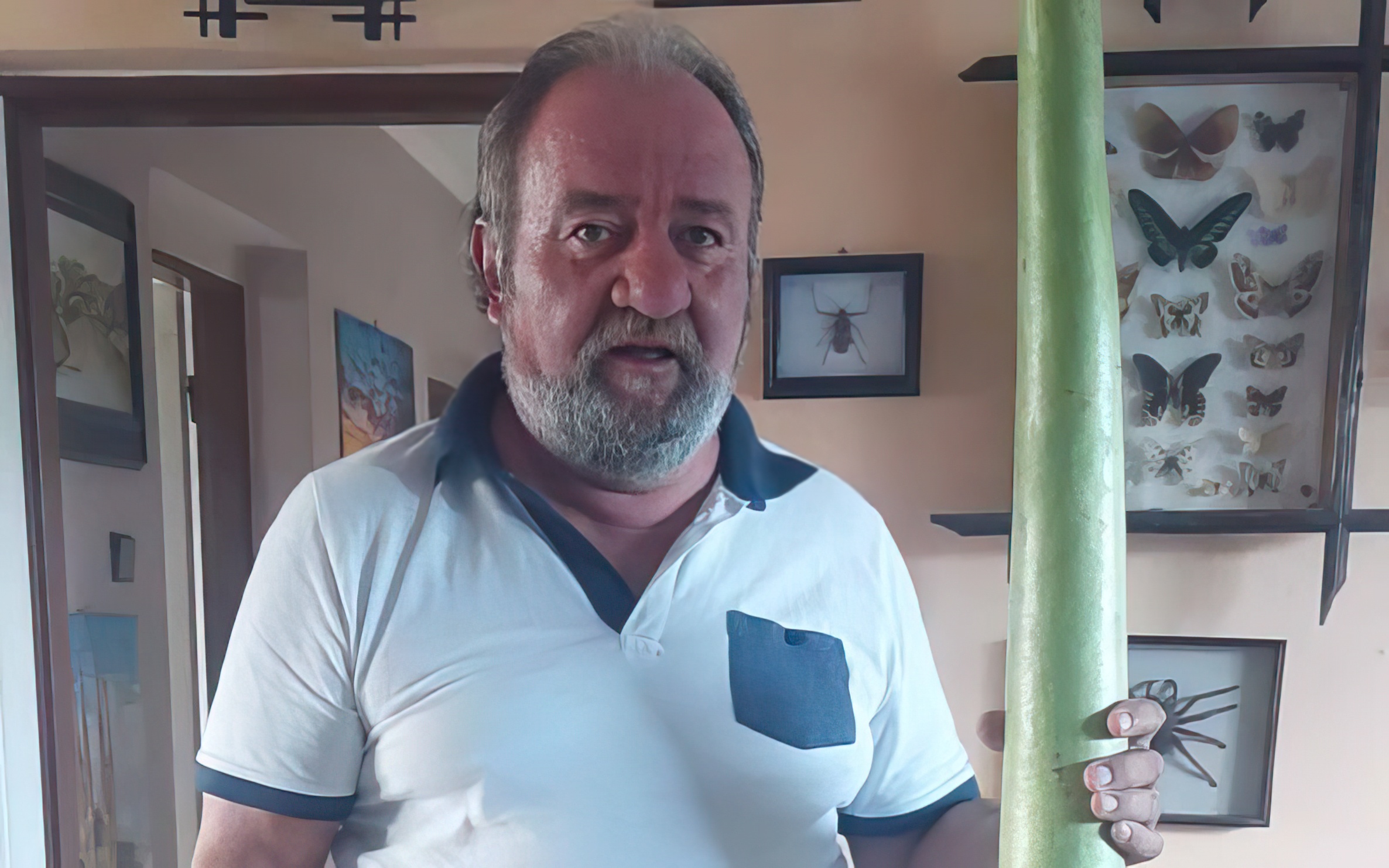 Humb turisti çek në Golem, kërkohet ndihmë për gjetjen e tij