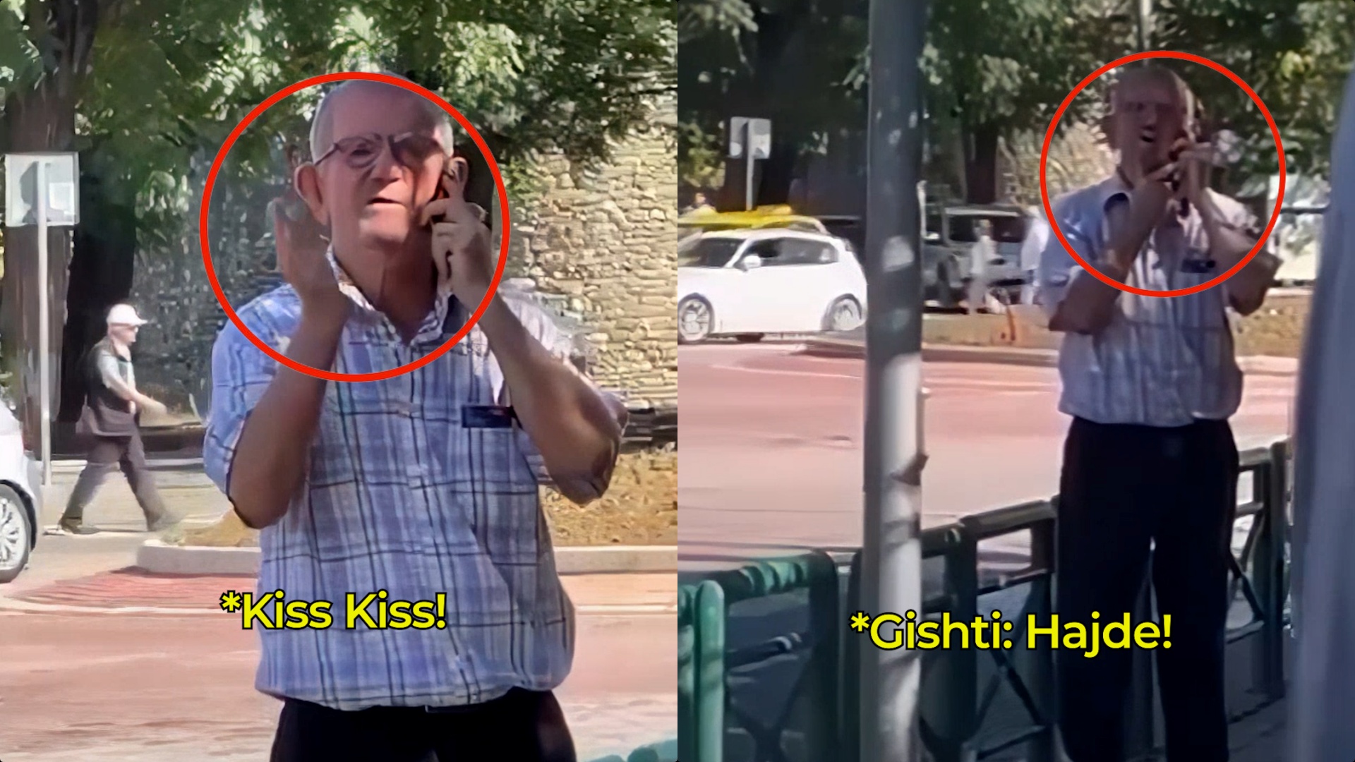 “Kiss Kiss!” Gjyshi nga Elbasani i qepet vajzës së re: Turp!